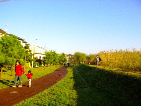 我孫子 手賀沼湖畔の遊歩道