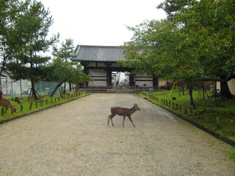 奈良東大寺転害門