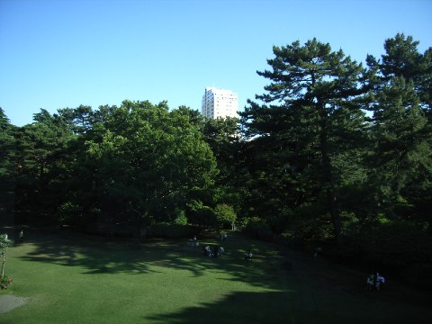 休憩室から見た東京都庭園美術館の庭