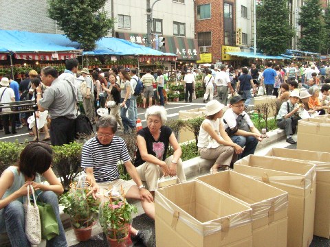 入谷のあさがお市