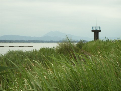 鹿島鉄道沿いの霞ヶ浦の風景