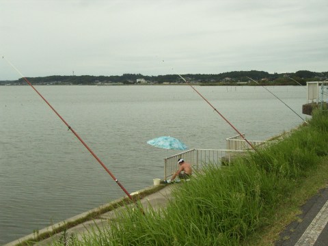 鹿島鉄道沿いの霞ヶ浦の風景