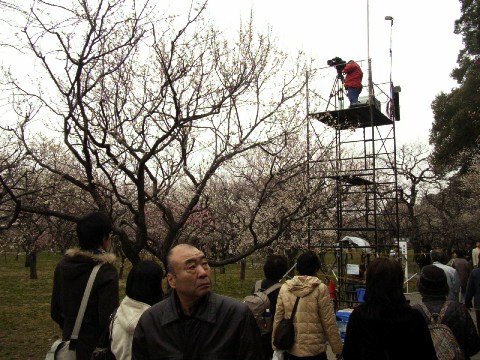 偕楽園（水戸）で中継の準備をするNHK