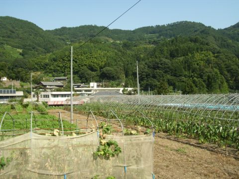 群馬県甘楽郡甘楽町秋畑