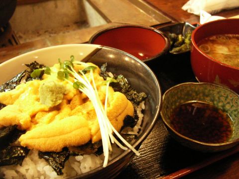 石巻のうに丼