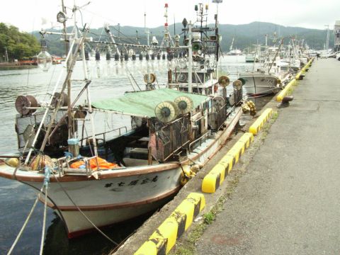 気仙沼は港町