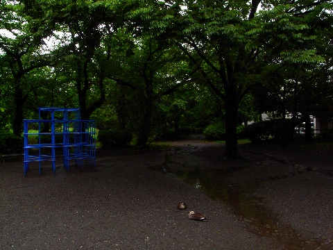 雨上がりの善福寺公園