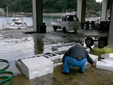 温泉津漁港