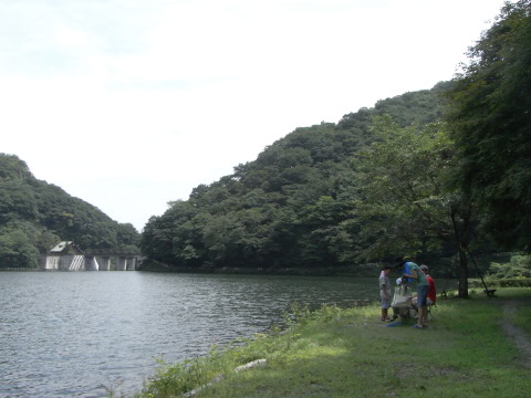 碓井湖