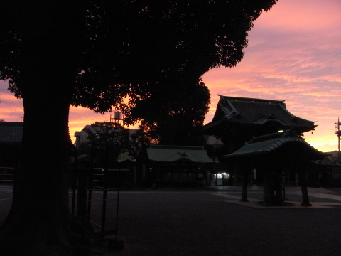 柴又帝釈天