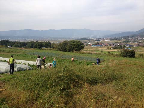 ペンション シュトラーゼ のパーティに集まった人達と畑ヘ