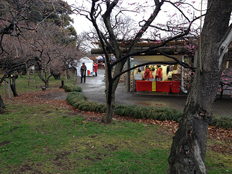 雨の水戸偕楽園