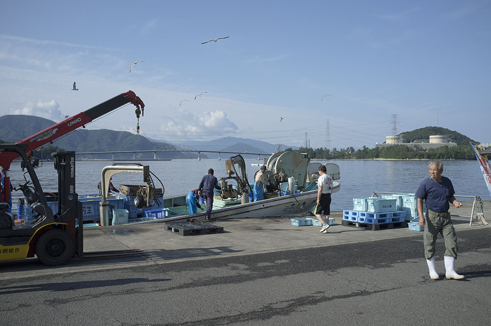 美浜原発を望む漁村での魚の水揚げ