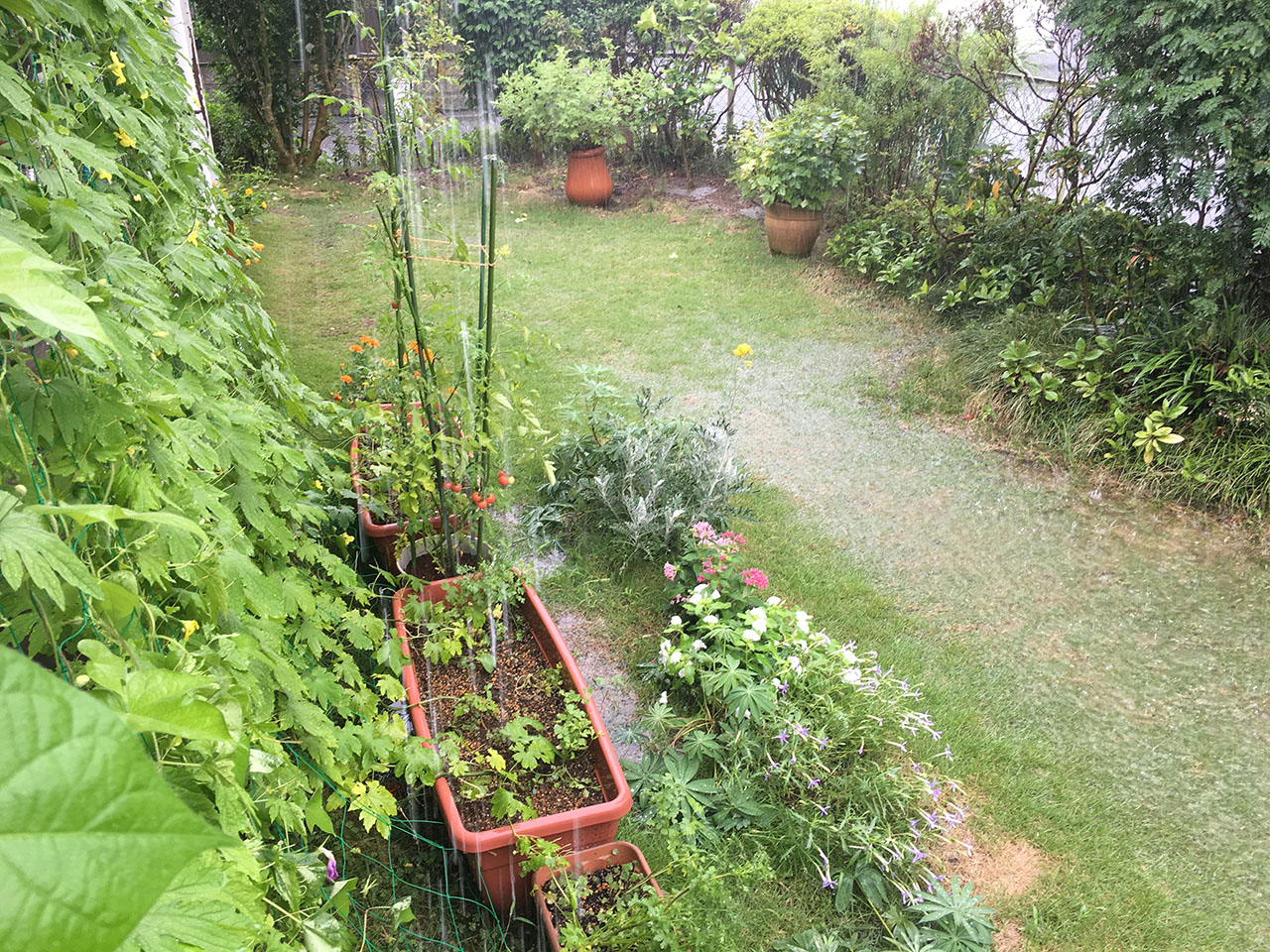 “ゲリラ豪雨で庭が水浸し"