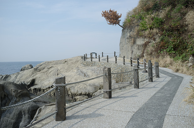 富浦の雀島に行く道