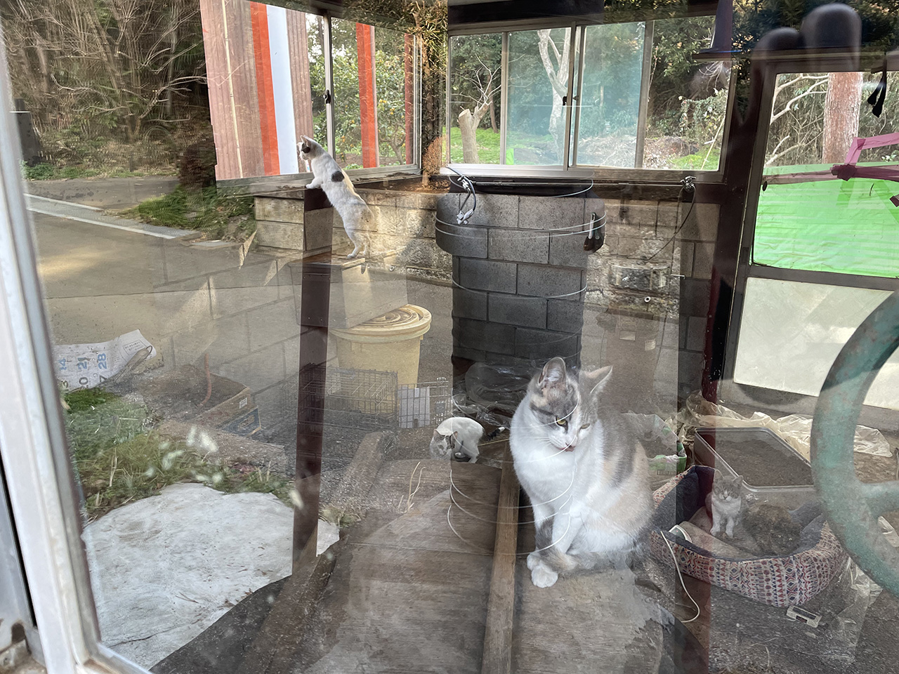 “沼南町の猫小屋”